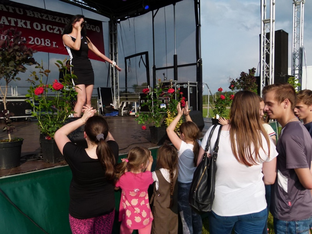 Święto Powiatu Brzezińskiego - tym razem w gminie Dmosin