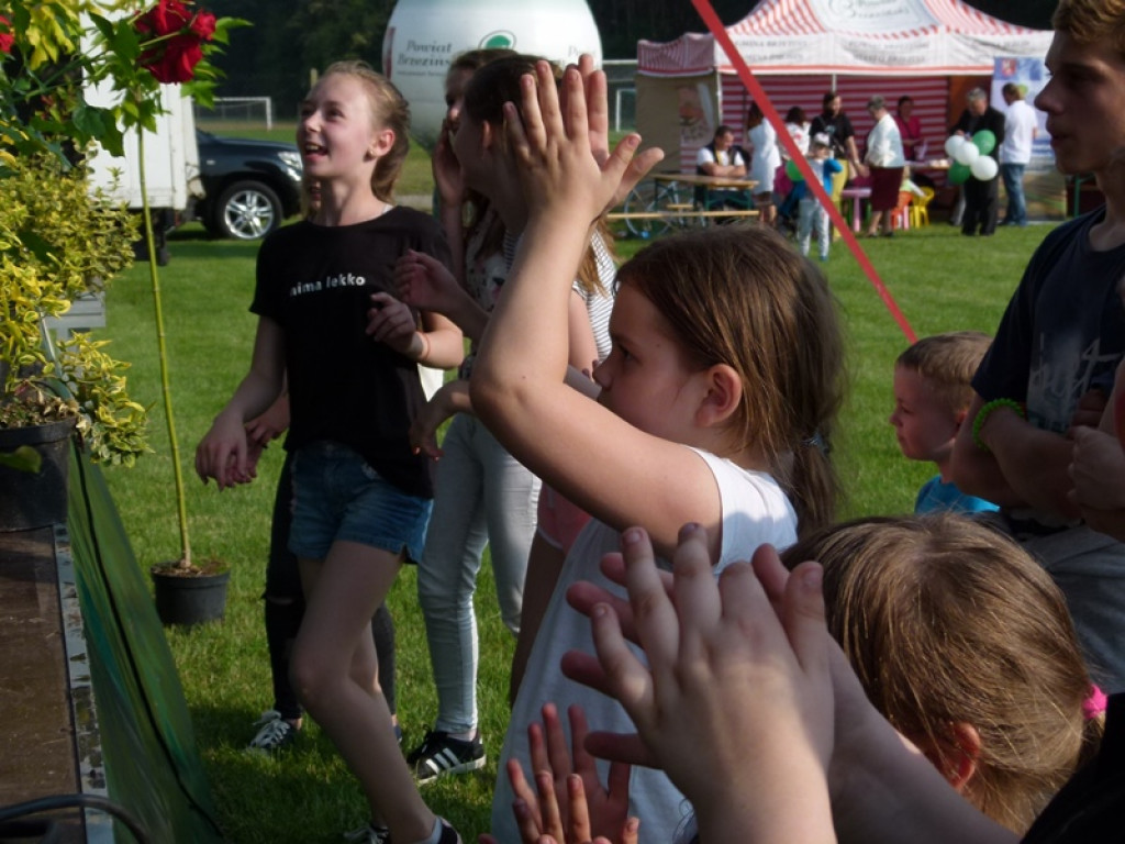 Święto Powiatu Brzezińskiego - tym razem w gminie Dmosin