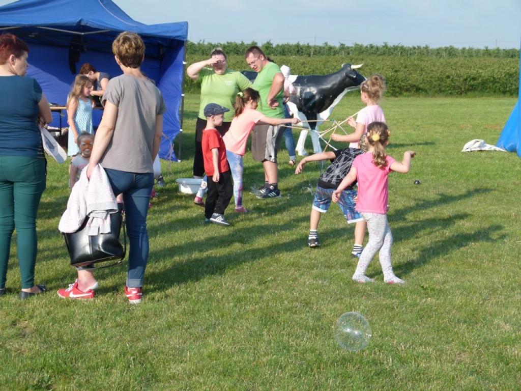 Święto Powiatu Brzezińskiego - tym razem w gminie Dmosin
