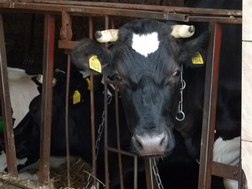 Minister rolnictwa spotkał się z rolnikami w Popowie Głowieńskim