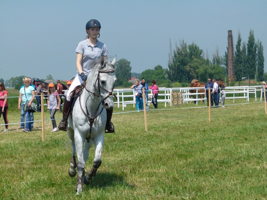 Widowiskowe prezentacje na Agromajówce w Zduńskiej Dąbrowie