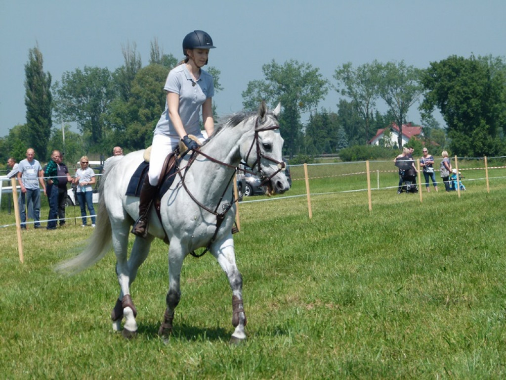 Widowiskowe prezentacje na Agromajówce w Zduńskiej Dąbrowie
