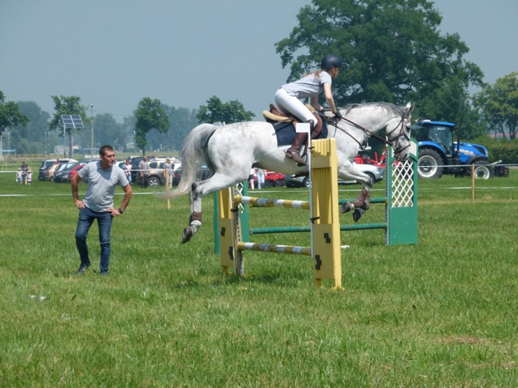 Widowiskowe prezentacje na Agromajówce w Zduńskiej Dąbrowie