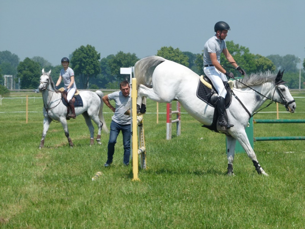Widowiskowe prezentacje na Agromajówce w Zduńskiej Dąbrowie