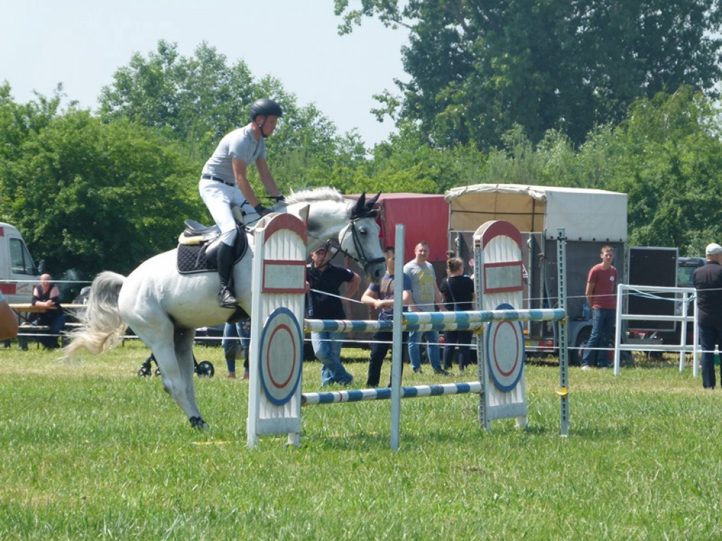 Widowiskowe prezentacje na Agromajówce w Zduńskiej Dąbrowie