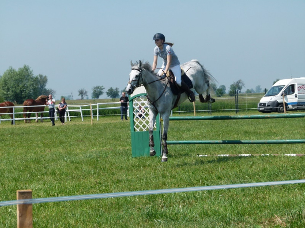 Widowiskowe prezentacje na Agromajówce w Zduńskiej Dąbrowie