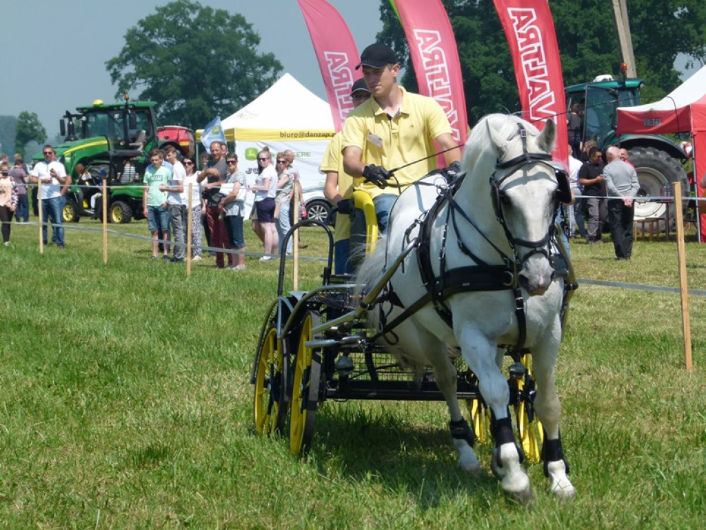 Widowiskowe prezentacje na Agromajówce w Zduńskiej Dąbrowie