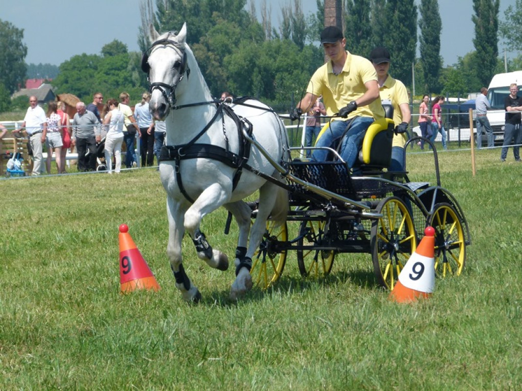 Widowiskowe prezentacje na Agromajówce w Zduńskiej Dąbrowie
