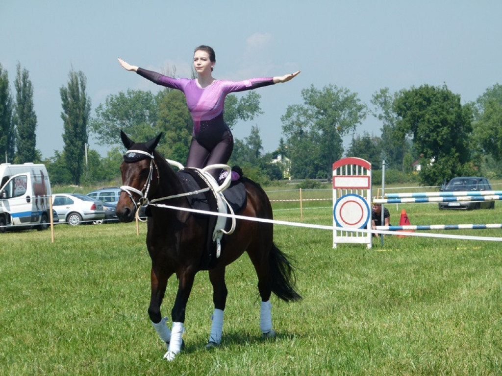 Widowiskowe prezentacje na Agromajówce w Zduńskiej Dąbrowie