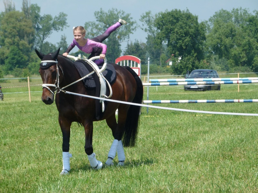Widowiskowe prezentacje na Agromajówce w Zduńskiej Dąbrowie