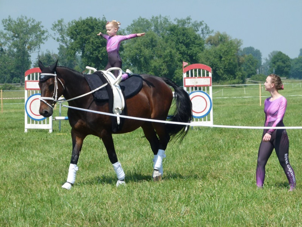 Widowiskowe prezentacje na Agromajówce w Zduńskiej Dąbrowie
