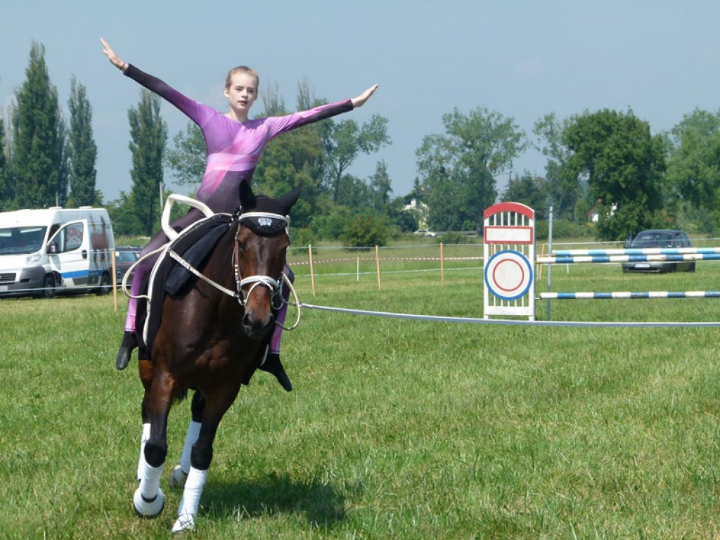 Widowiskowe prezentacje na Agromajówce w Zduńskiej Dąbrowie
