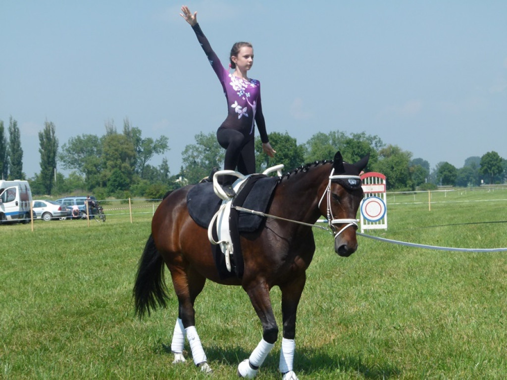 Widowiskowe prezentacje na Agromajówce w Zduńskiej Dąbrowie