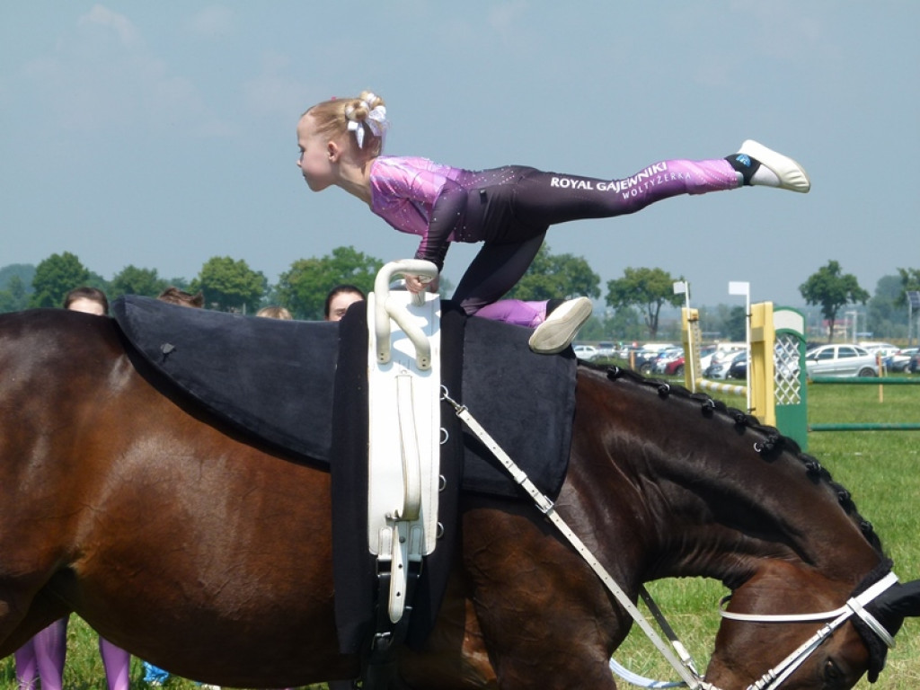 Widowiskowe prezentacje na Agromajówce w Zduńskiej Dąbrowie