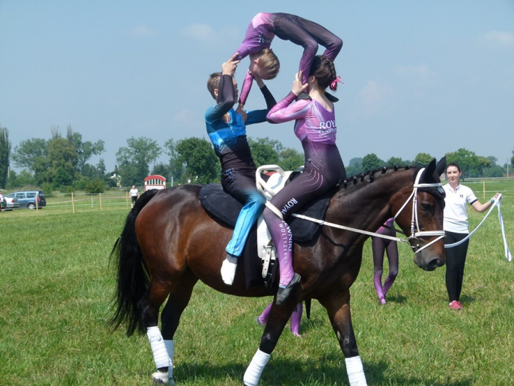 Widowiskowe prezentacje na Agromajówce w Zduńskiej Dąbrowie