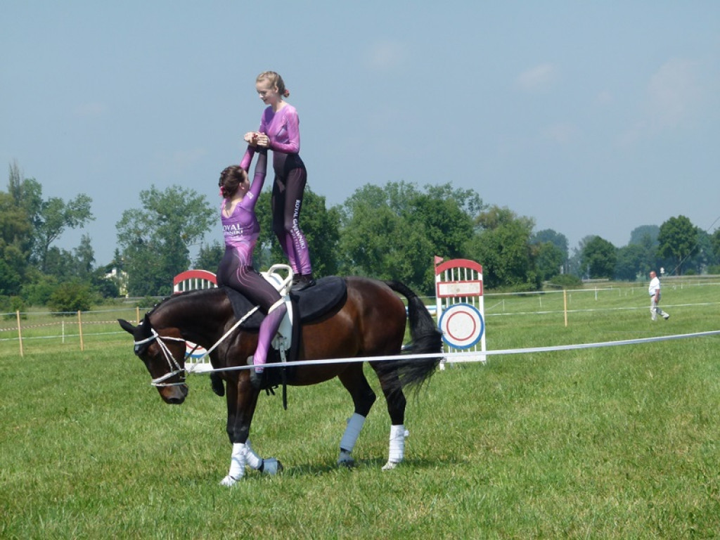 Widowiskowe prezentacje na Agromajówce w Zduńskiej Dąbrowie