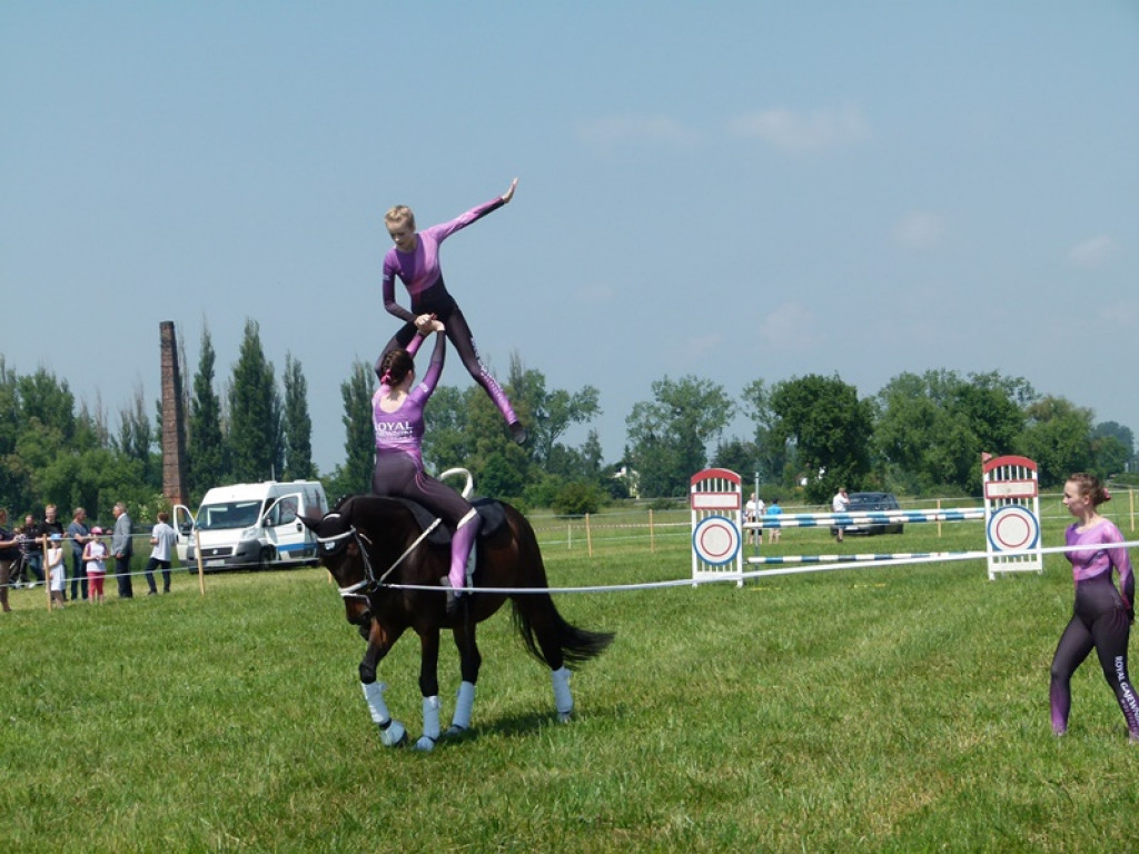 Widowiskowe prezentacje na Agromajówce w Zduńskiej Dąbrowie