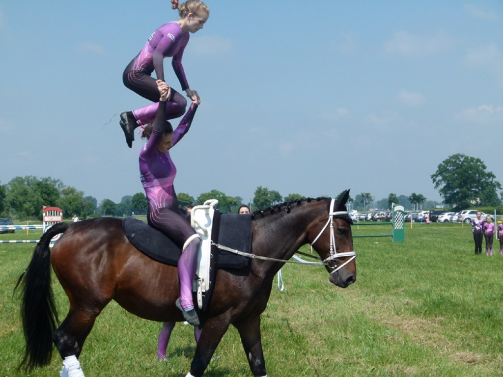 Widowiskowe prezentacje na Agromajówce w Zduńskiej Dąbrowie