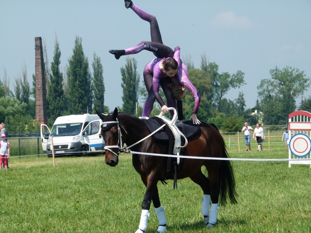 Widowiskowe prezentacje na Agromajówce w Zduńskiej Dąbrowie