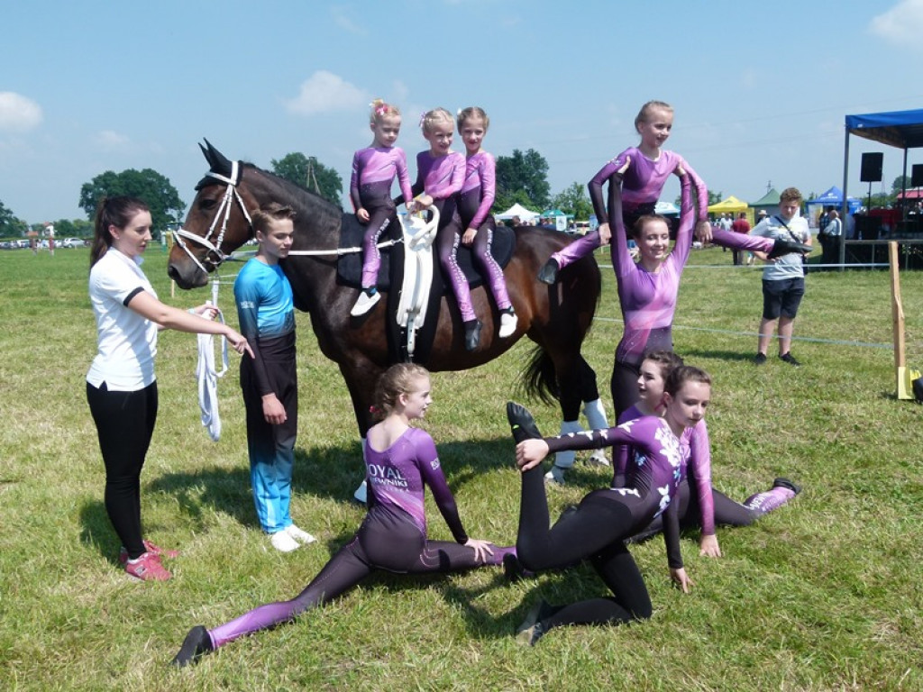 Widowiskowe prezentacje na Agromajówce w Zduńskiej Dąbrowie