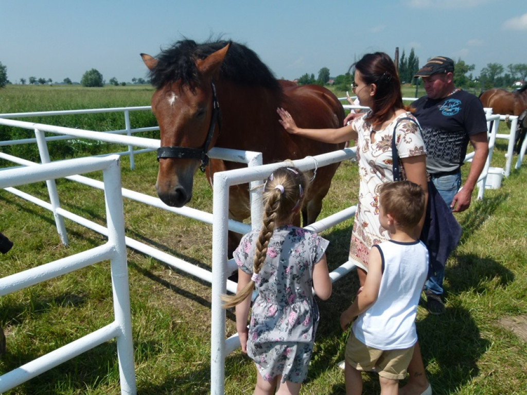Widowiskowe prezentacje na Agromajówce w Zduńskiej Dąbrowie