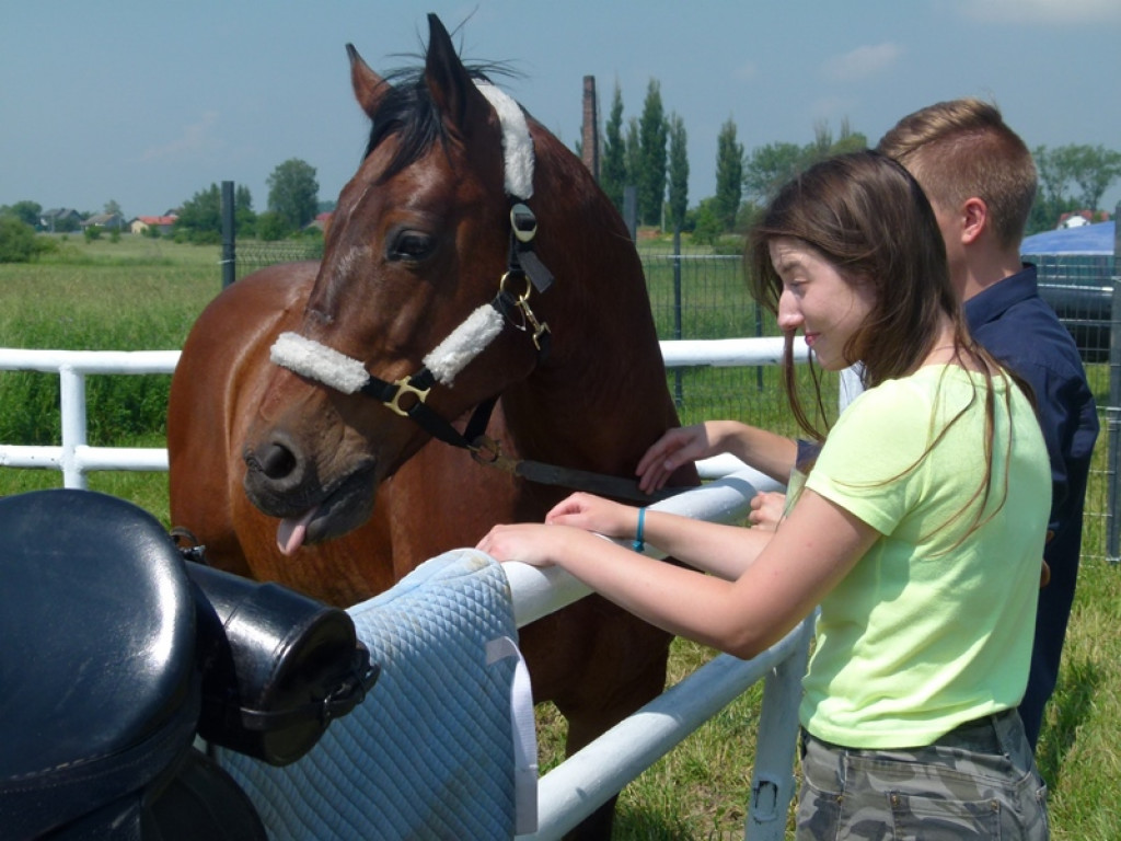 Widowiskowe prezentacje na Agromajówce w Zduńskiej Dąbrowie