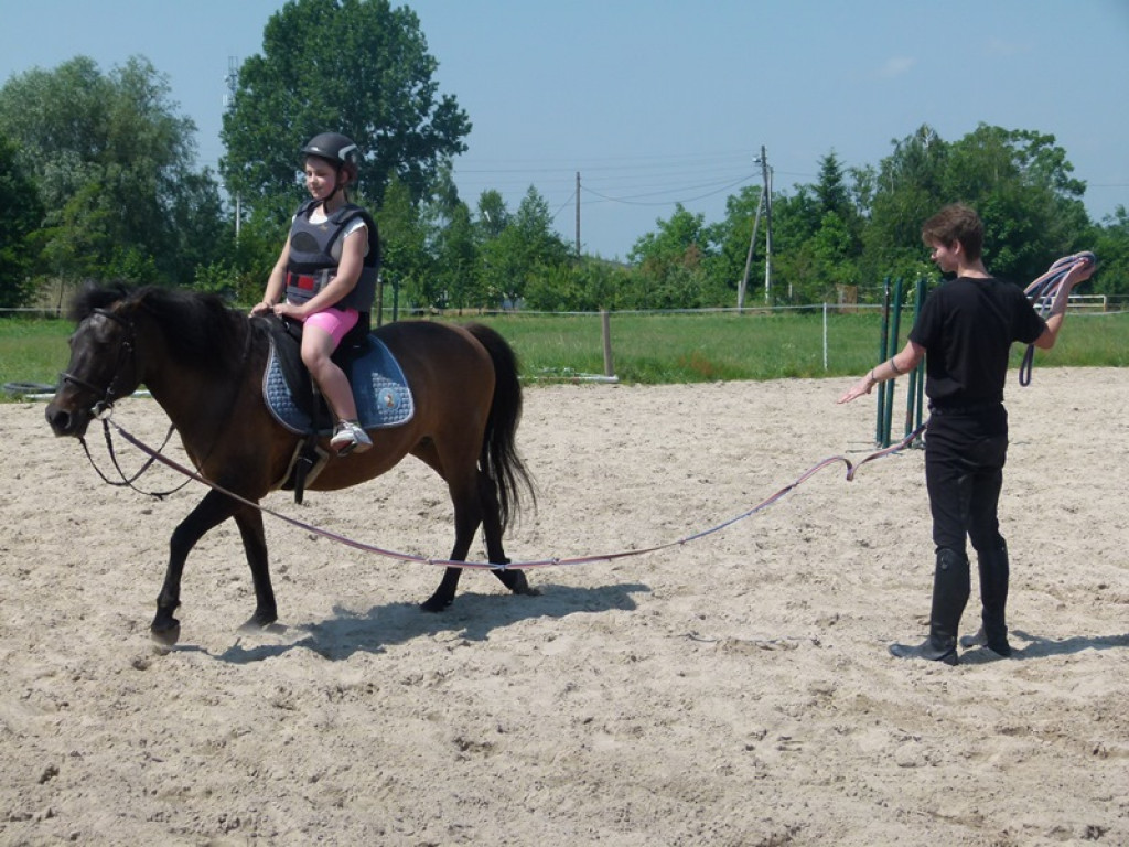 Widowiskowe prezentacje na Agromajówce w Zduńskiej Dąbrowie
