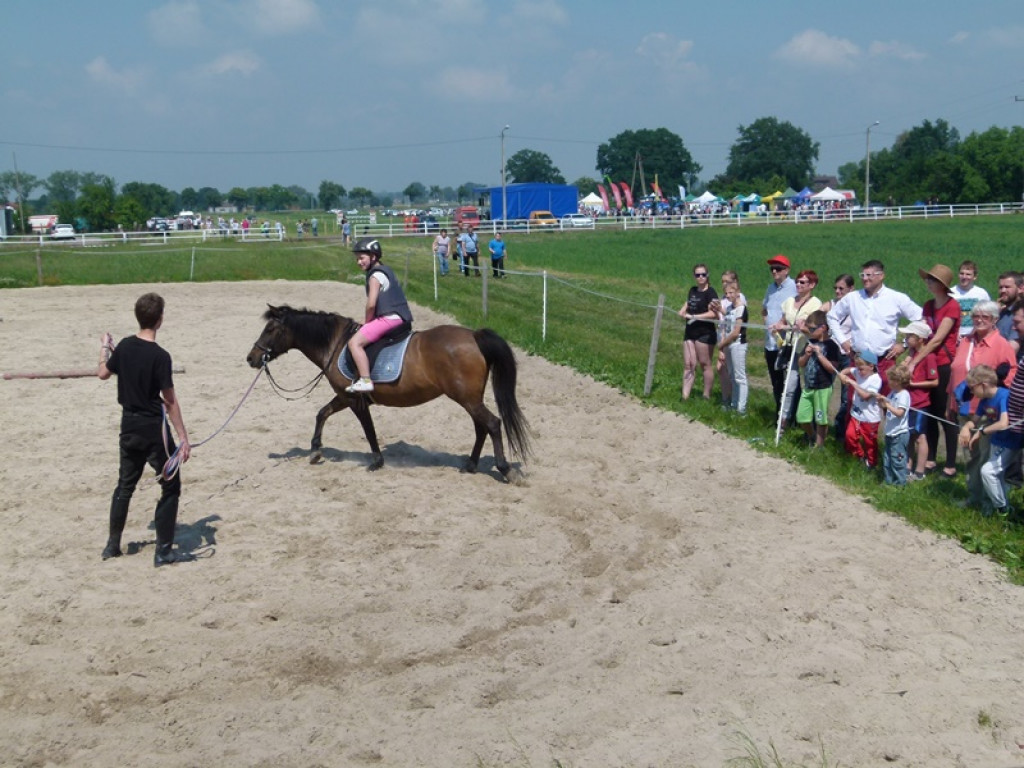 Widowiskowe prezentacje na Agromajówce w Zduńskiej Dąbrowie