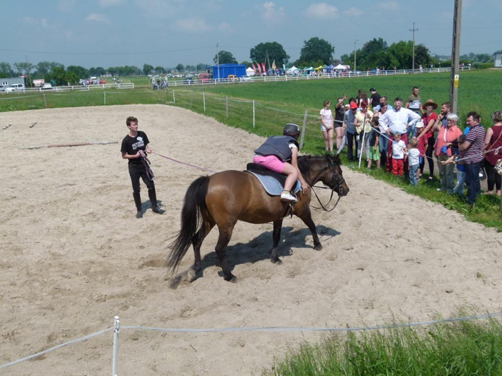 Widowiskowe prezentacje na Agromajówce w Zduńskiej Dąbrowie