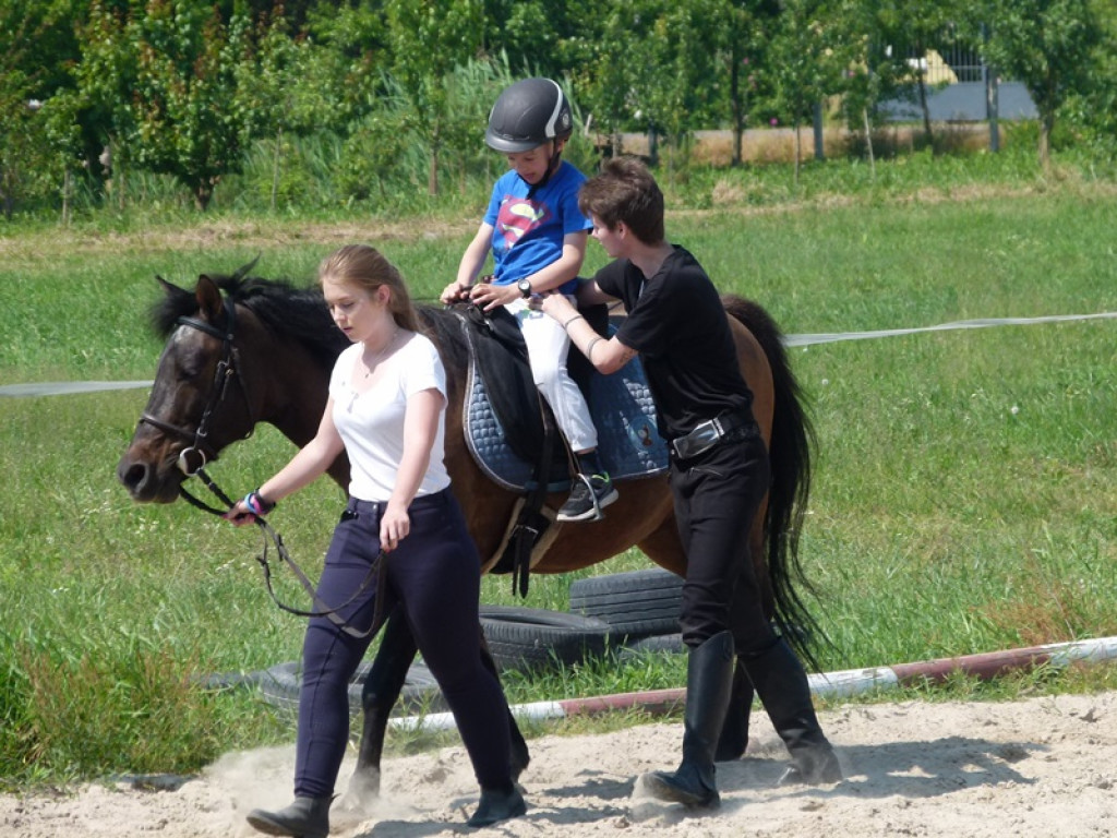 Widowiskowe prezentacje na Agromajówce w Zduńskiej Dąbrowie