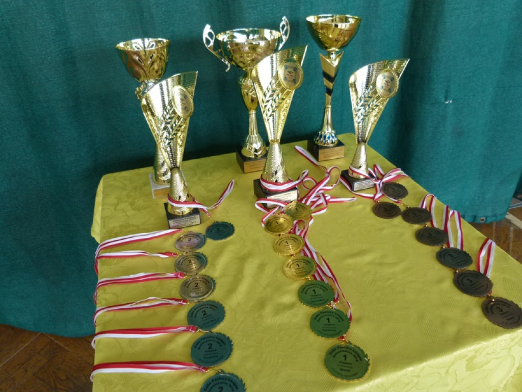 Domaniewicka Majówka w pełnym słońcu