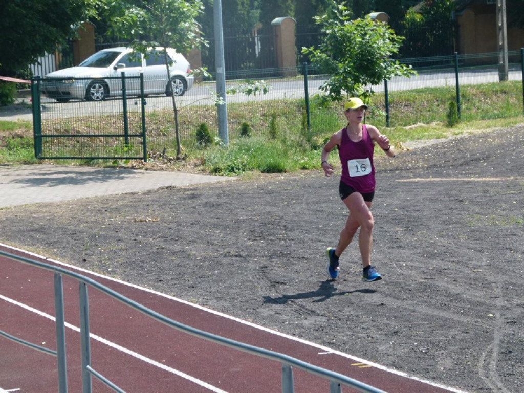 Domaniewicka Majówka w pełnym słońcu