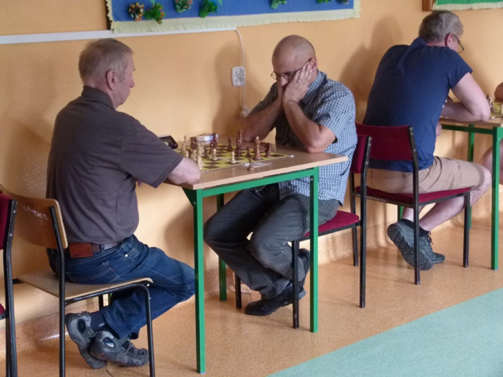 Domaniewicka Majówka w pełnym słońcu