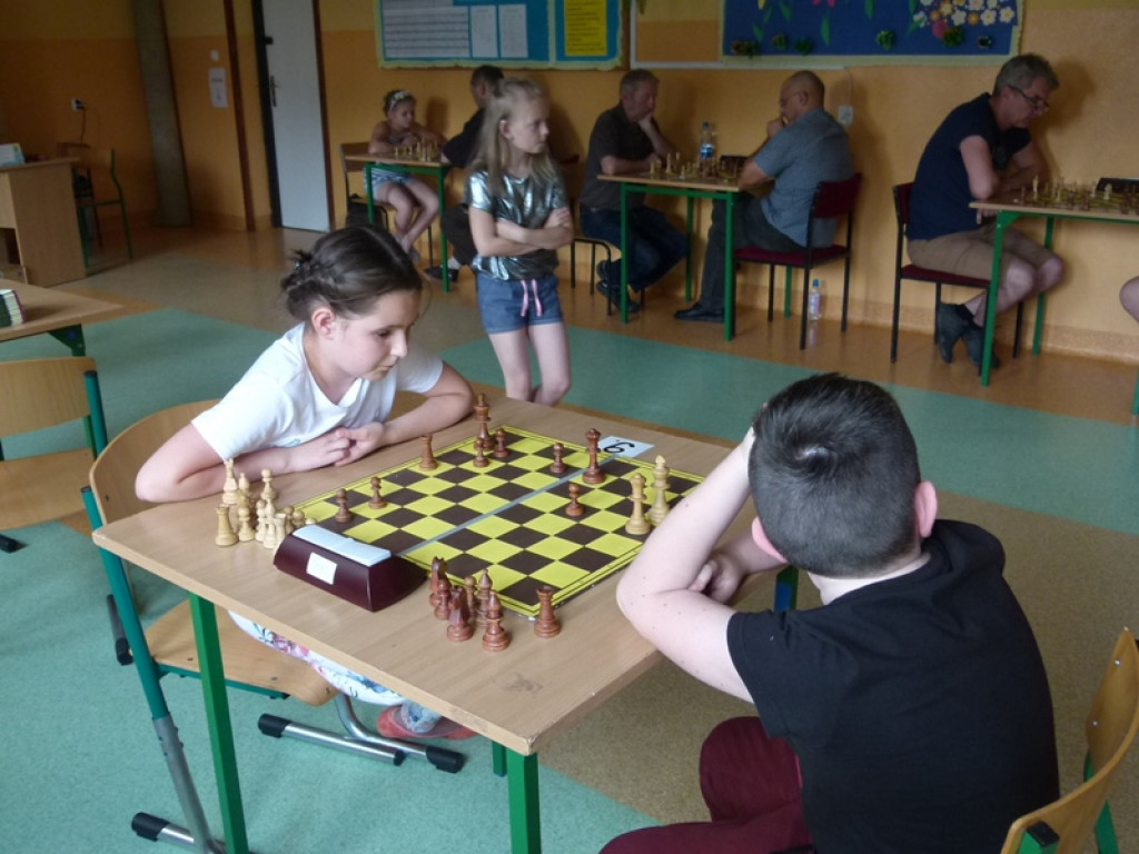 Domaniewicka Majówka w pełnym słońcu