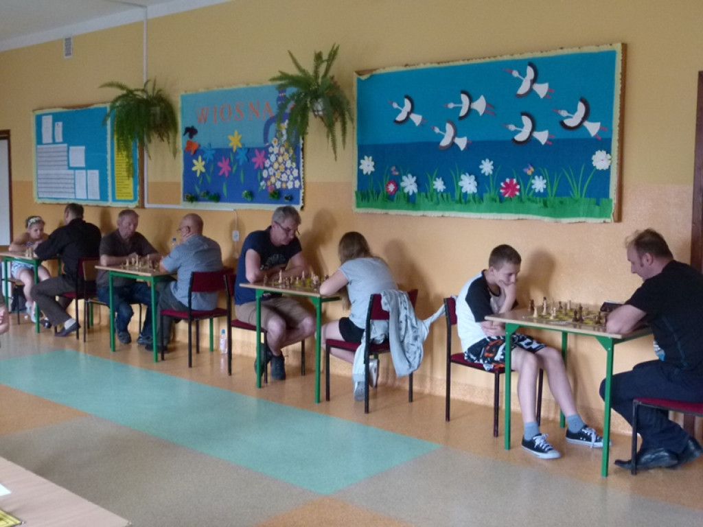 Domaniewicka Majówka w pełnym słońcu