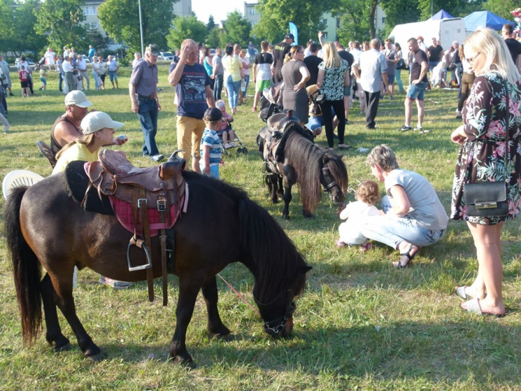 Domaniewicka Majówka w pełnym słońcu