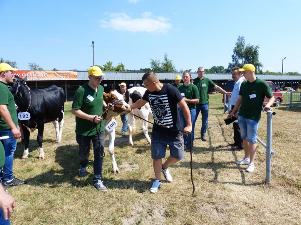 W Bratoszewicach trwa wystawa zwierząt 