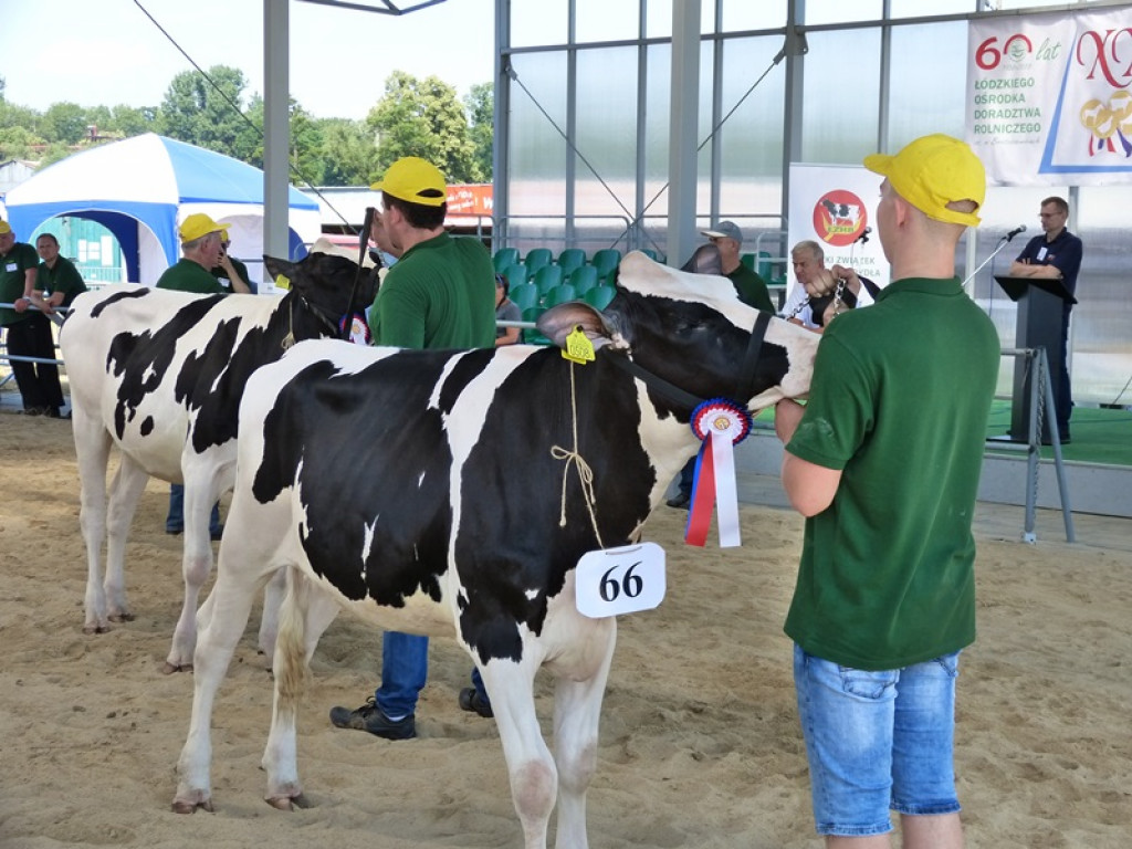 W Bratoszewicach trwa wystawa zwierząt 