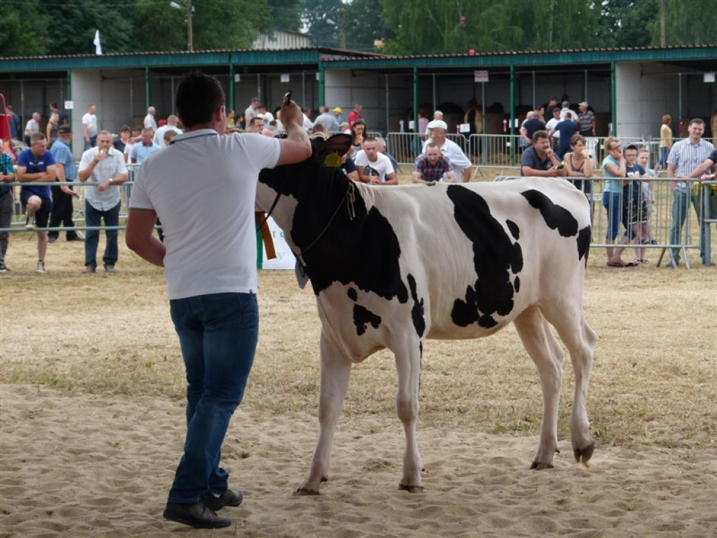 Drugi dzień wystawy i targów w Bratoszewicach