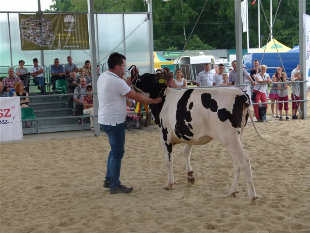 Drugi dzień wystawy i targów w Bratoszewicach