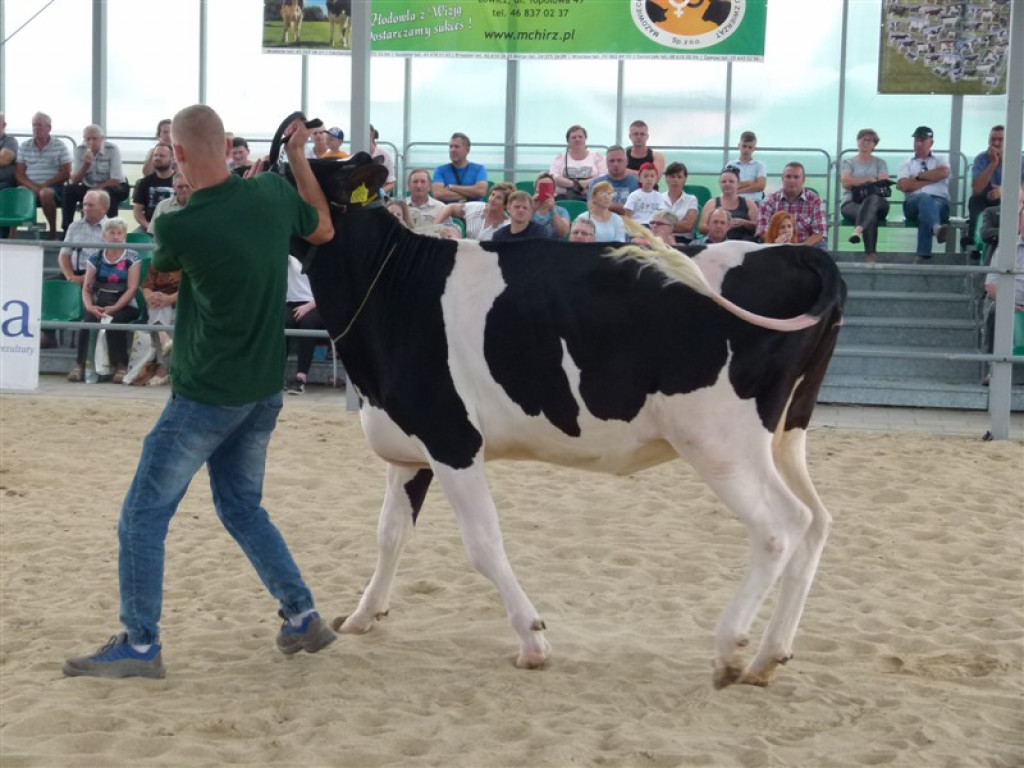 Drugi dzień wystawy i targów w Bratoszewicach