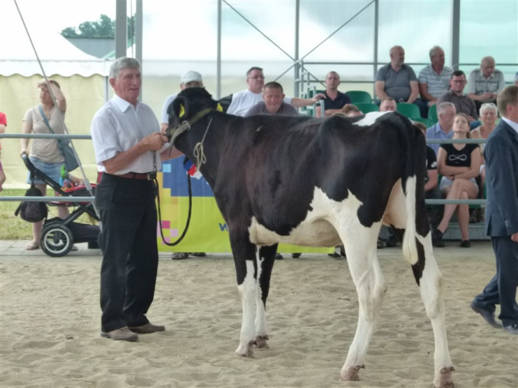 Drugi dzień wystawy i targów w Bratoszewicach