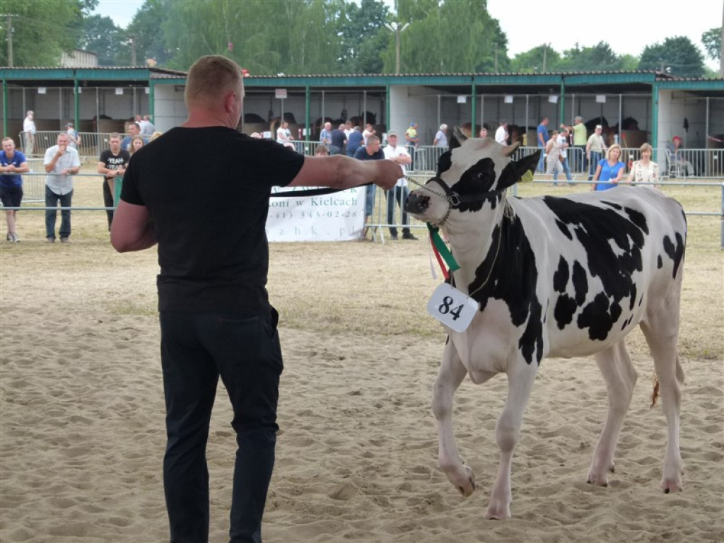 Drugi dzień wystawy i targów w Bratoszewicach