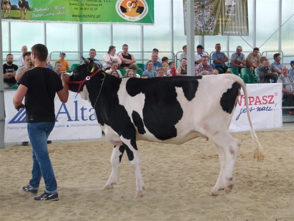 Drugi dzień wystawy i targów w Bratoszewicach