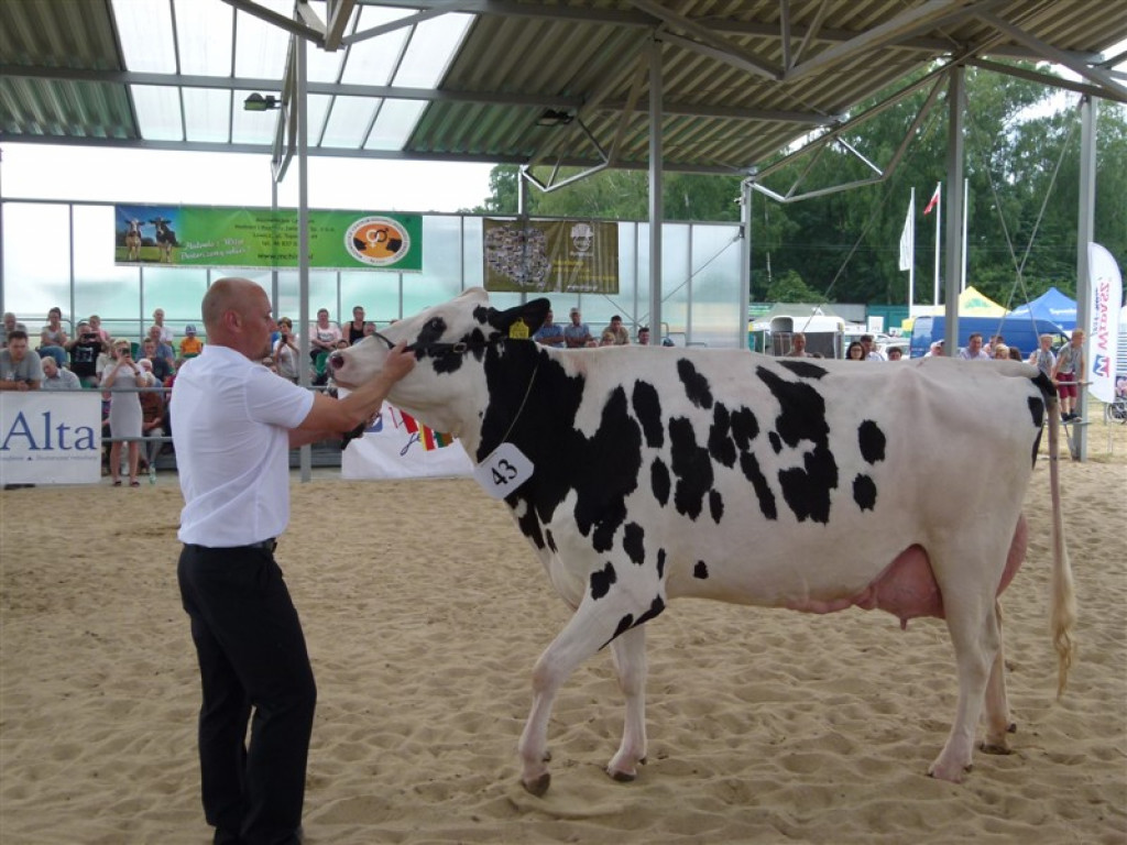 Drugi dzień wystawy i targów w Bratoszewicach