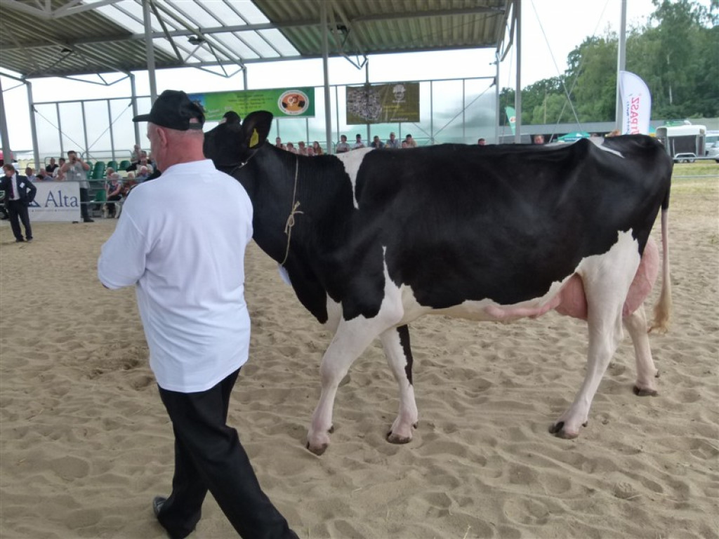 Drugi dzień wystawy i targów w Bratoszewicach