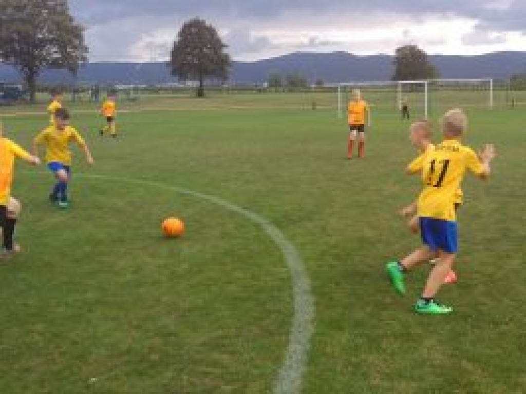 W Dzierżoniowie trenują sportowcy z UKS AP Champions Łowicz