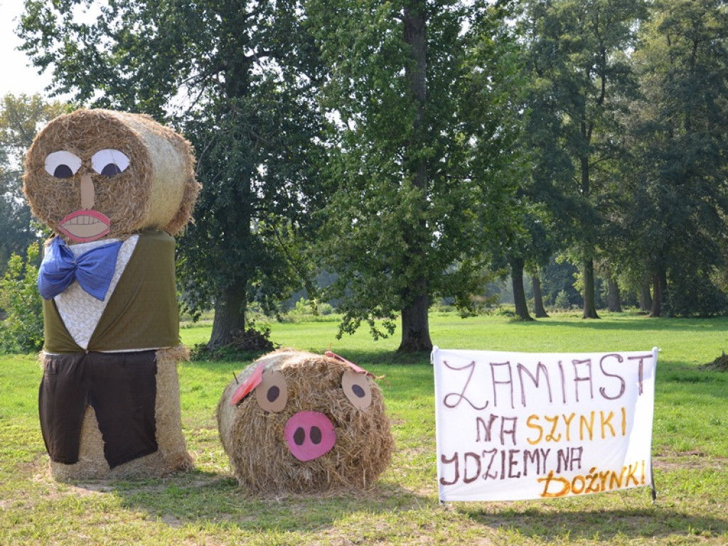 Słomiane cuda na dożynkach w Zielkowicach
