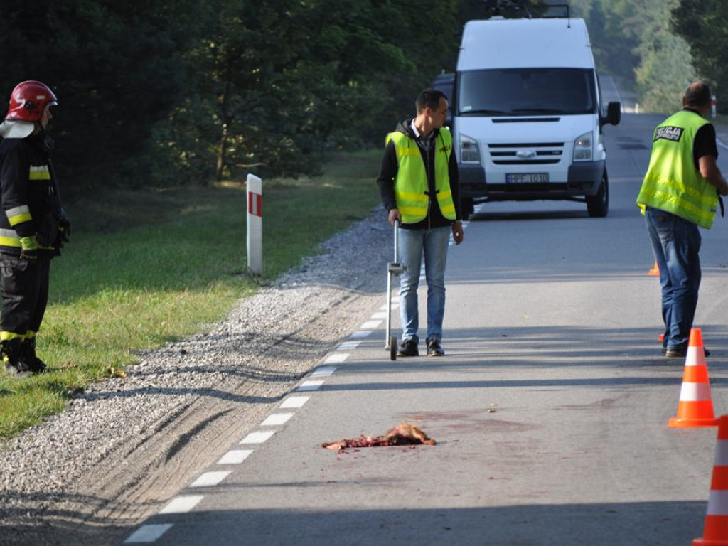 Wypadek w Kalenicach, DW 704 już przejezdna - aktualizacja
