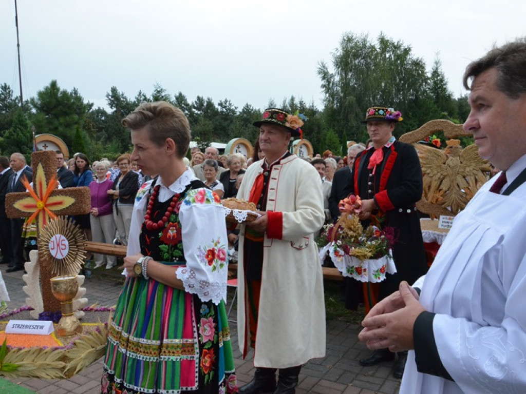 Odpust i dożynki w Sanktuarium Matki Bożej w Domaniewicach